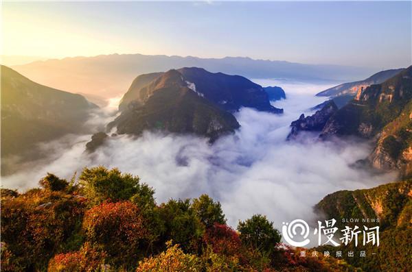 巫山肺炎最新